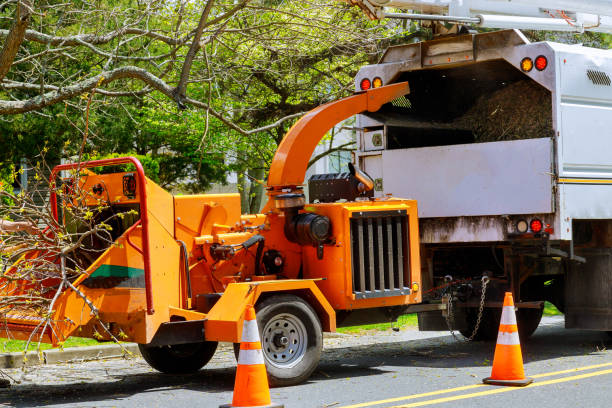 Best Lawn Grading and Leveling  in Tinton Falls, NJ