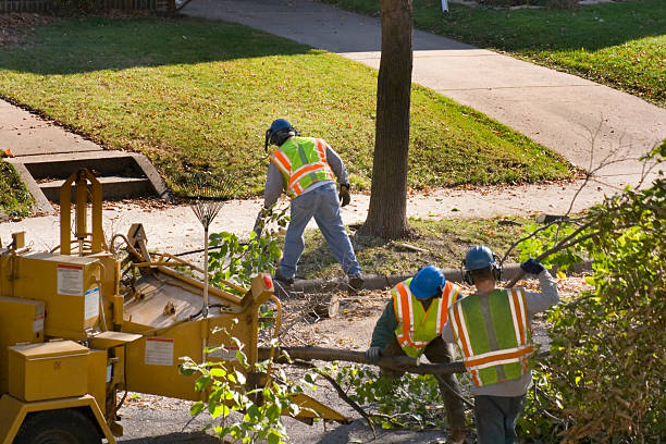 Best Tree Mulching  in Tinton Falls, NJ